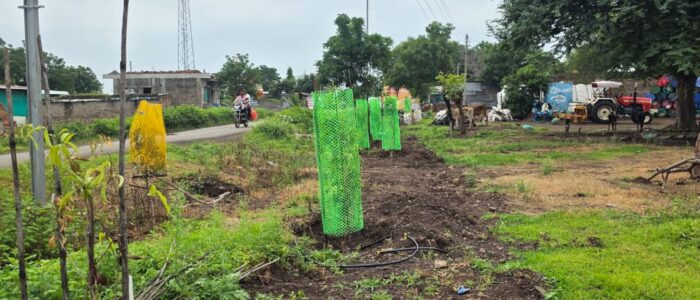 WhatsApp Image 2025-09-24 at 1.28.51 PM