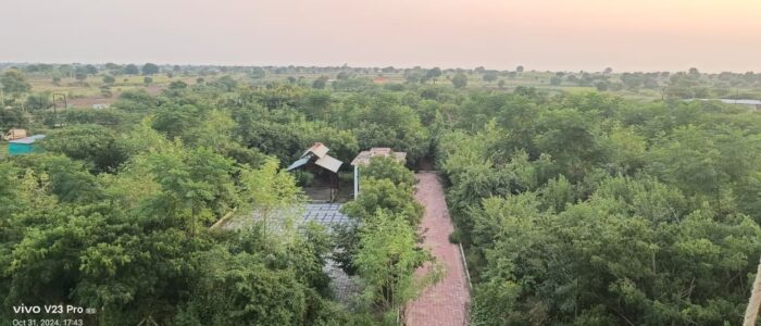 WhatsApp Image 2025-09-24 at 1.28.56 PM