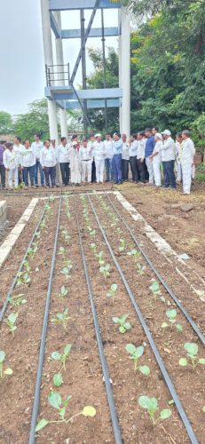 रोजगार हमी योजना